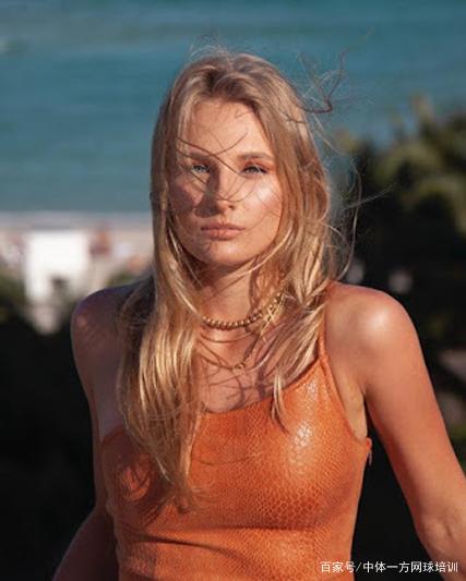 的定型对照 的定型对照